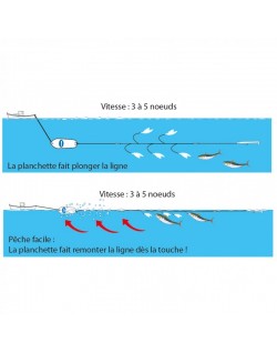 Ligne de Traîne Maquereaux