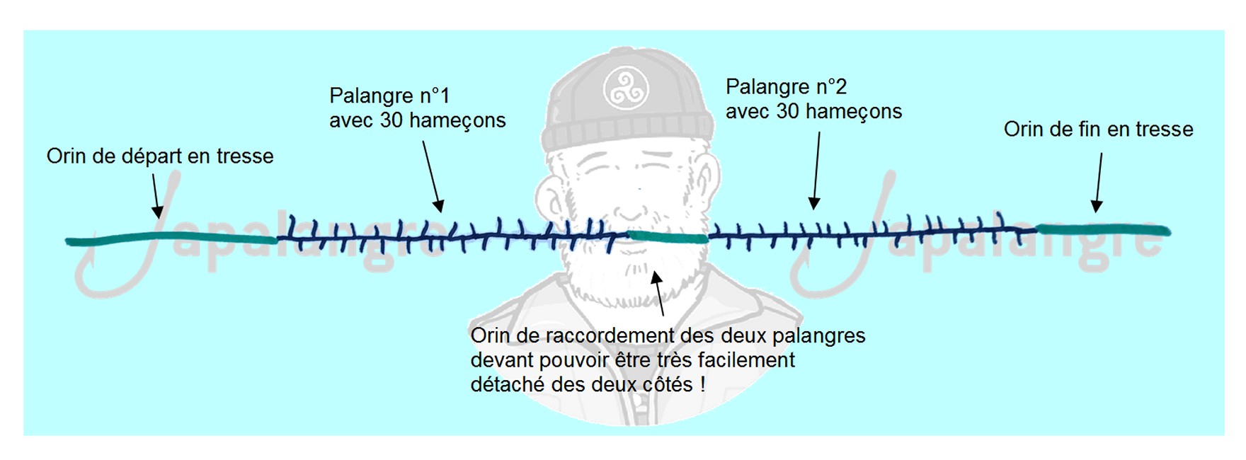 Exemple de montage d'une palangre avec 60 hameçons