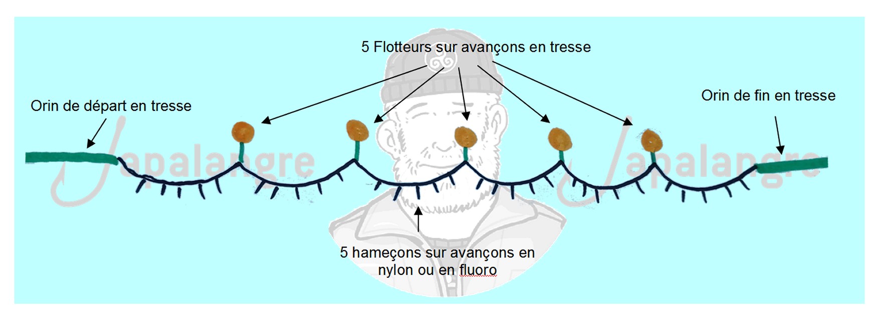 Exemple de montage d'une palangre de surface